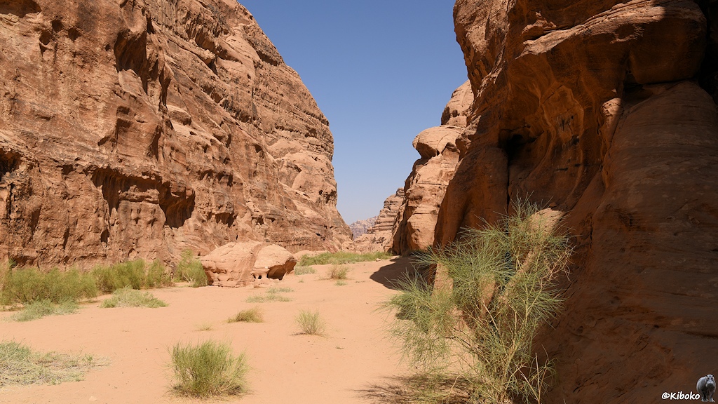 Schlucht zwischen Sandsteinwänden mit grüner Vegetation auf dem Boden