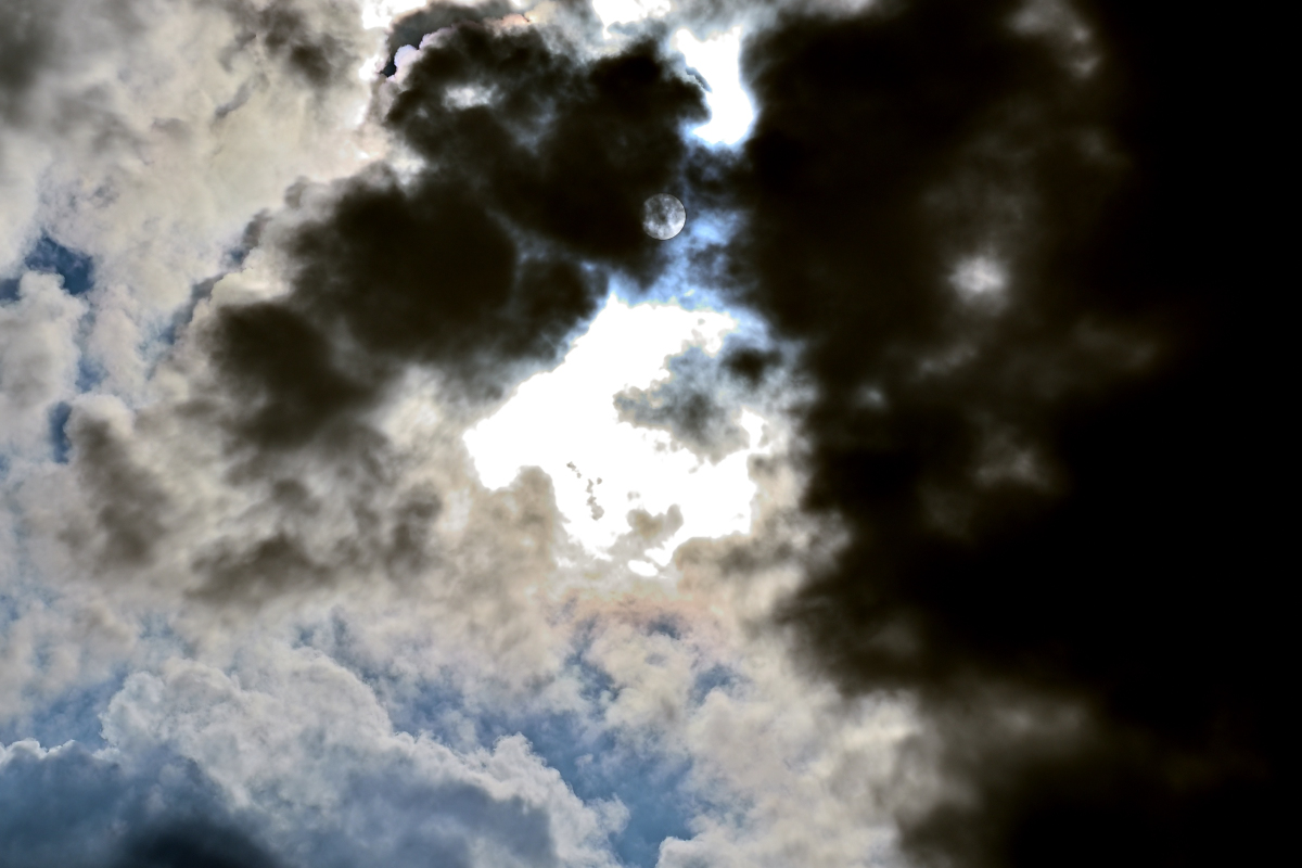 20230822-163107-nf.jpg