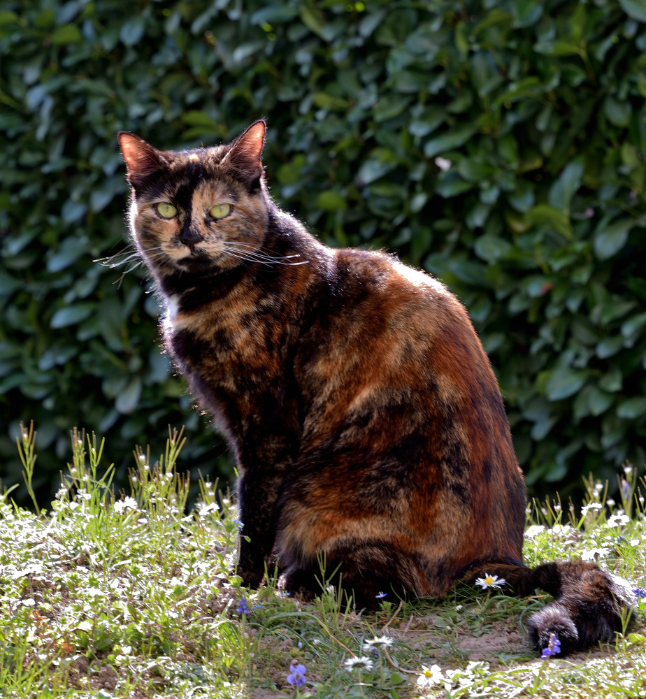 DSC_7751_01.JPG