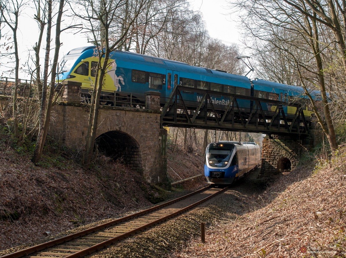 D3C_1169.jpg