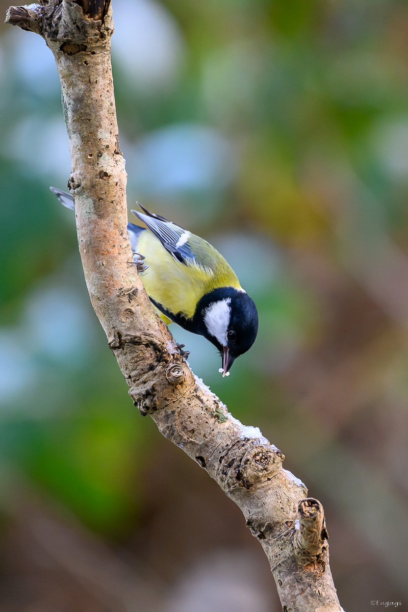 DSC_6833.jpg