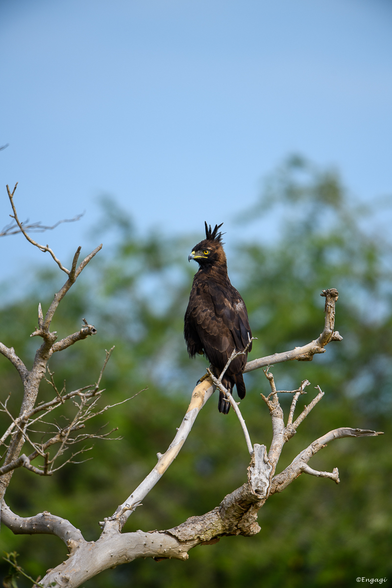 Uganda%200575.jpg