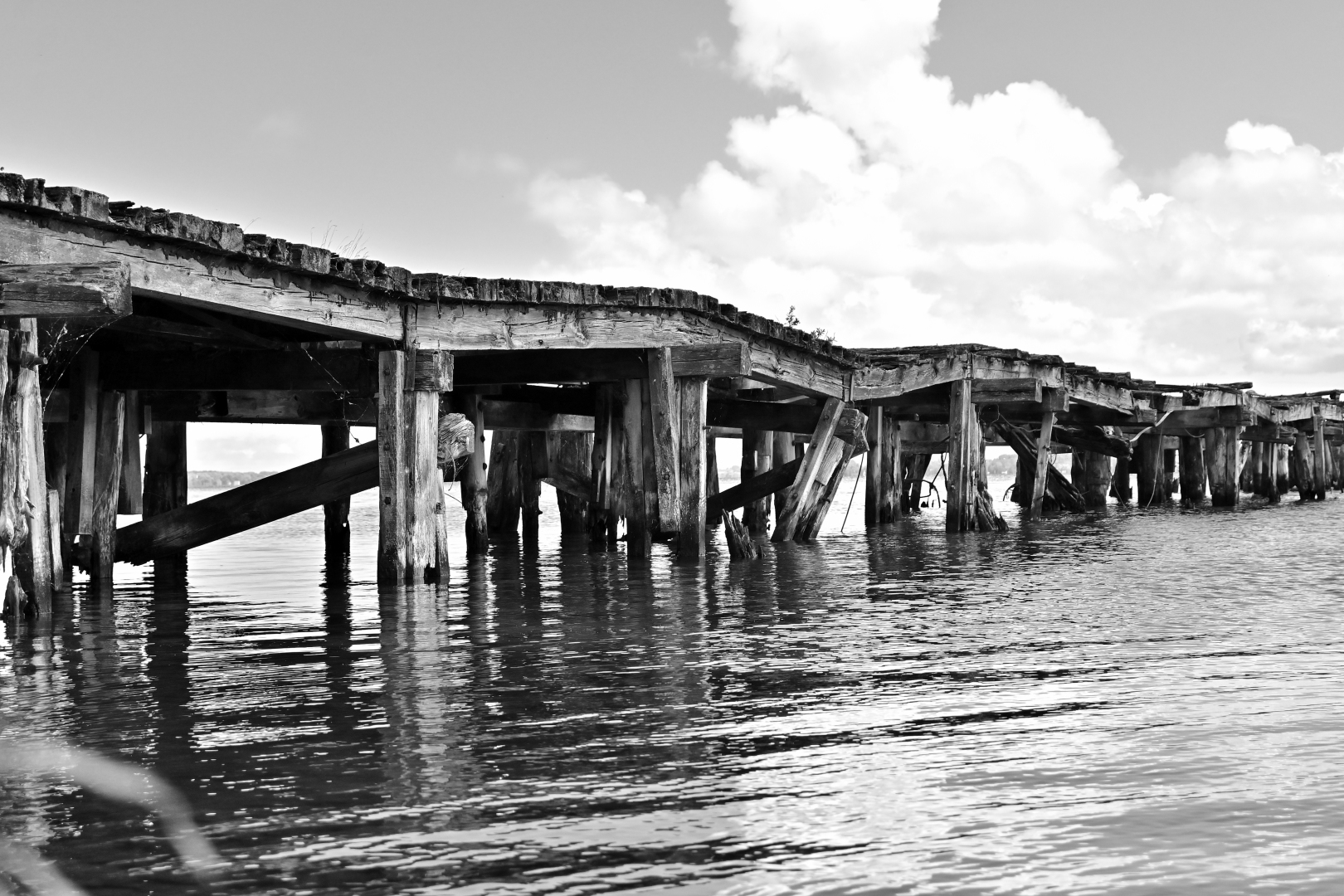 20250708-122121bw-2k.jpg