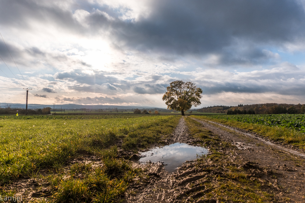 XT-20_123.jpg