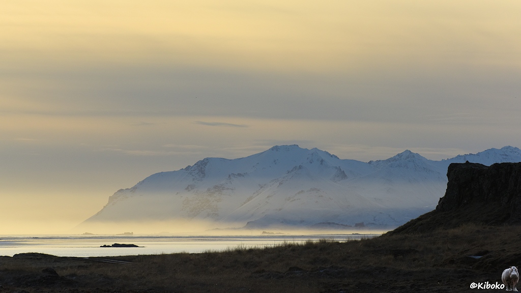 Das Bild zeigt ein dunkle Felsnase am Meer im Gegenlicht. Dahinter ist eine Bucht und schneebedeckte Berge. Im Abendlicht entsteht mit dem Küstennebel beigefarbene Streifen am Himmel und über der Bucht.