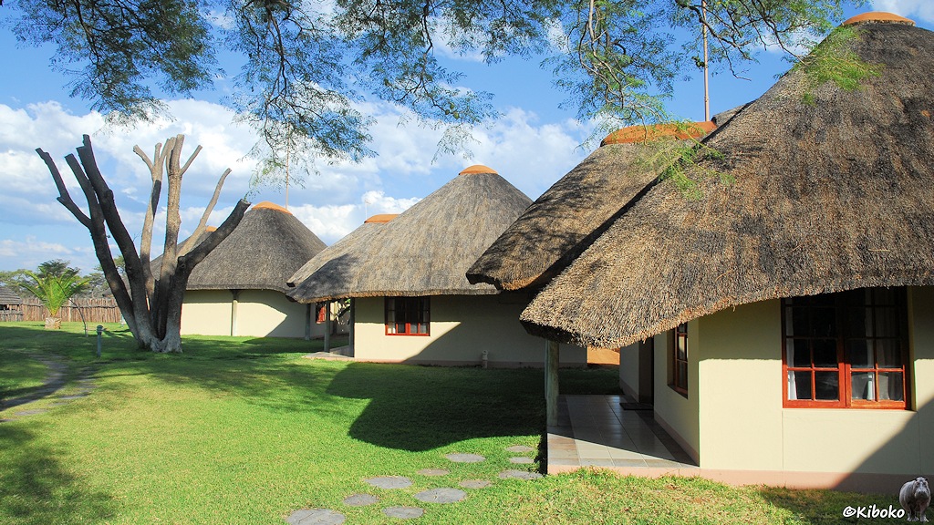 Vier viereckige graue Bungalows mit Strohdach stehen versetzt auf einer Wiese.