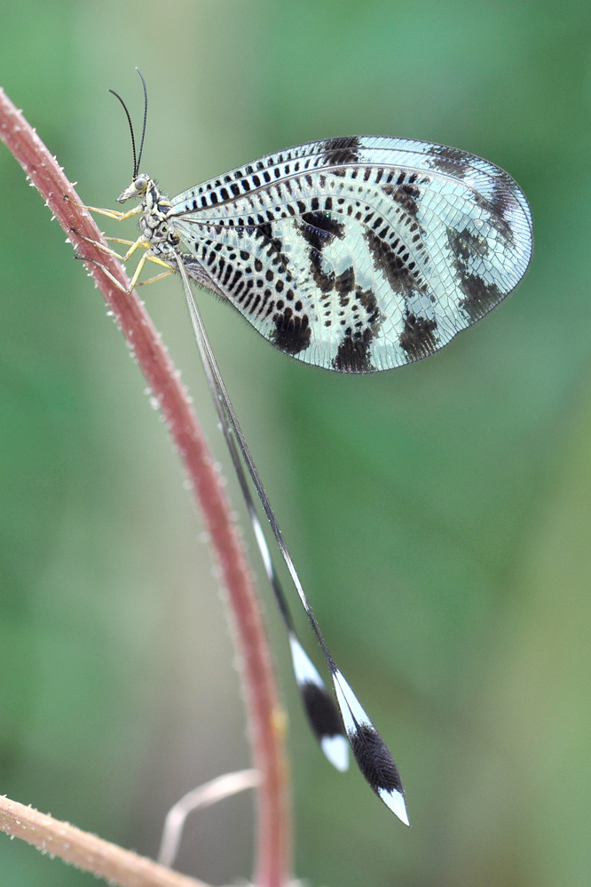 kl_fadenhaft_DSC_0400.jpg