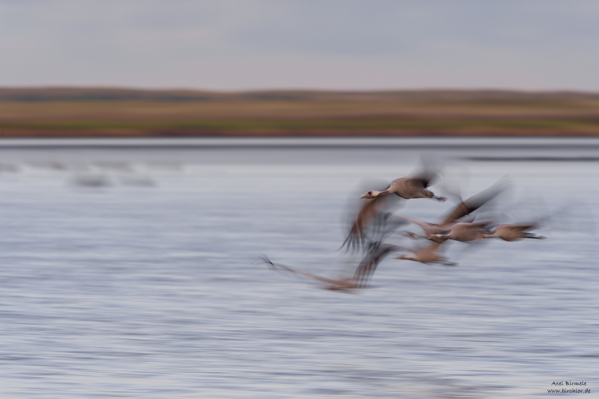 20150925_0566_PS_1200Px.jpg
