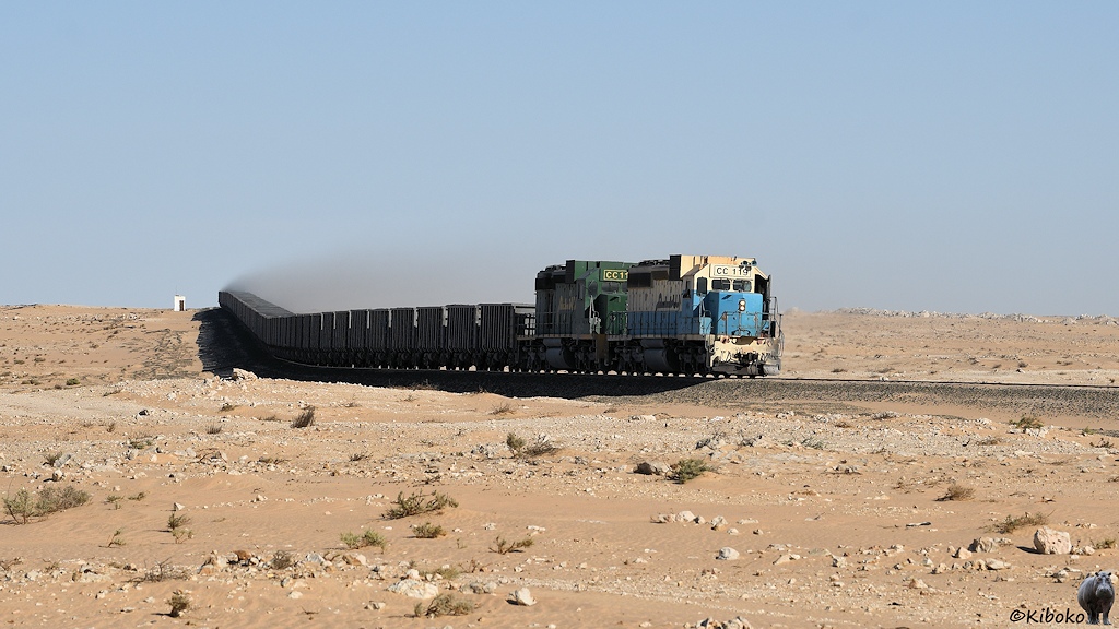 Das Bild zeigt einen Erzzug mit ca. 100 offenen, schwarzen Wagen und zwei Dieselloks. Die erste Lok ist beige hellblau lackiert. Die Zweite Lok ist grün. Von den Wagen weht eine rotbraune Staubwolke in die Wüste.