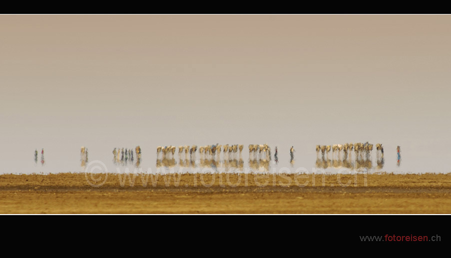 ETH1619_Karawane_Danakil_c.jpg