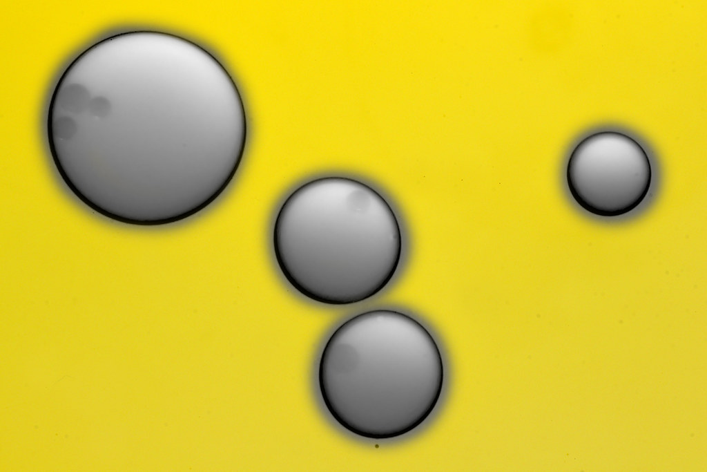 4627882934_fe07c0071e_b.jpg