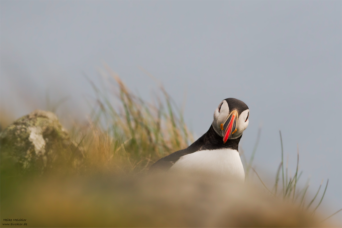 20140511_0129_PS_1200Px.jpg