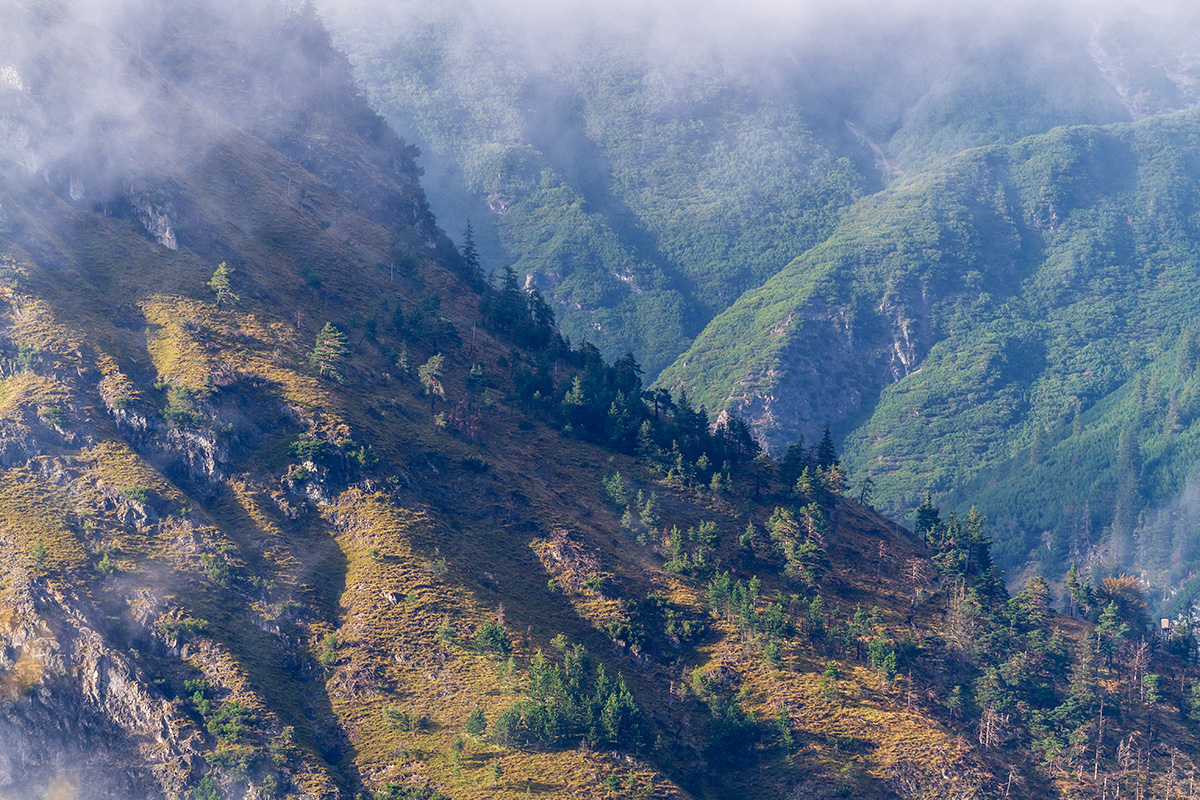 20201003_ND5_0658NF.jpg