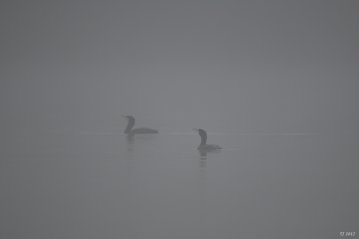 DSC_1030.jpg