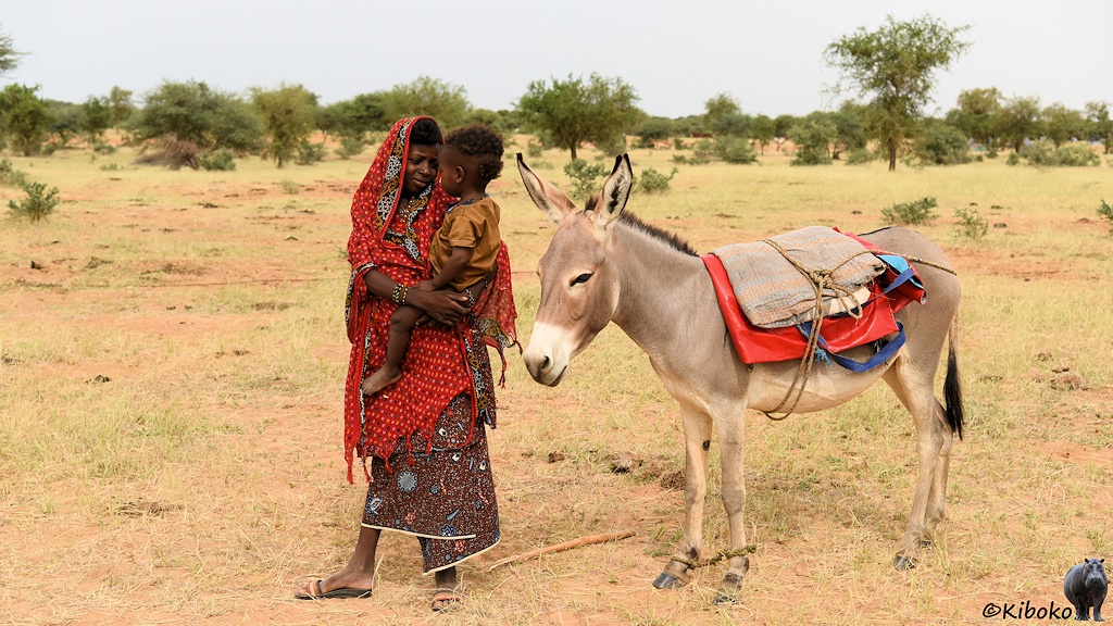 Das Bild zeigt zeig teine Frau im dunkelrot gemusterten Kleid und langem rotgemustertem Tuch. Sie hält ein Kleinkind mit braunem Hemd in den Armen. Daneben steht ein Esel. Im Hintergrund ist eine Savannenfläche aus trockenem Gras und einzelnen Bäumen.