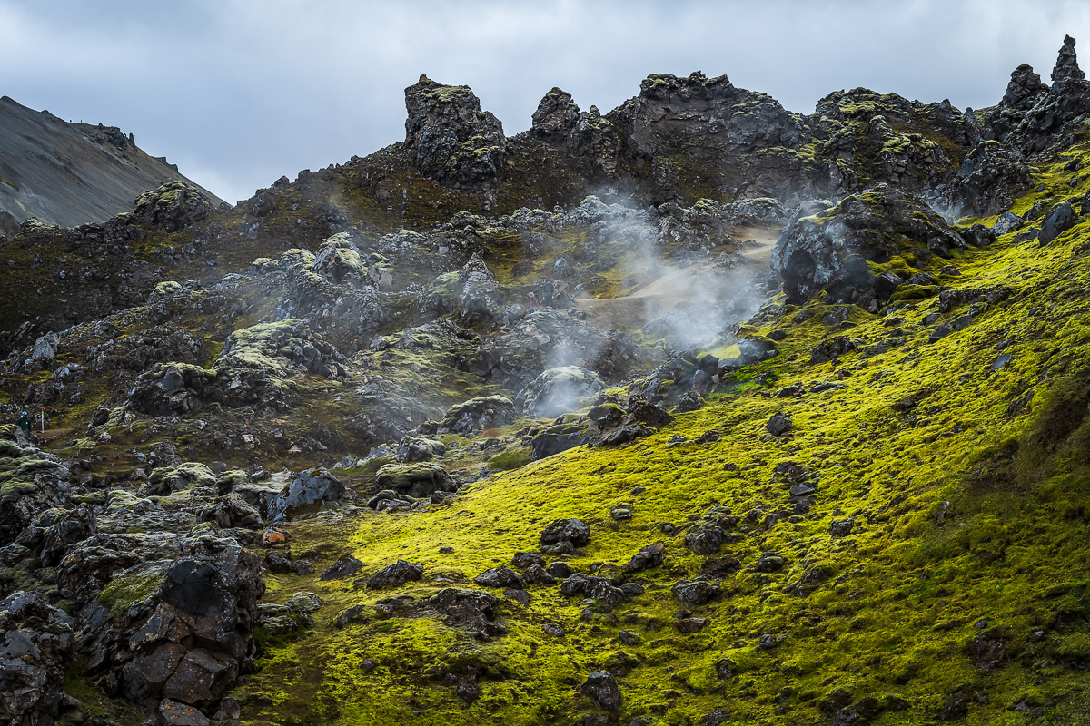20220917_NZ7_3391NF.jpg