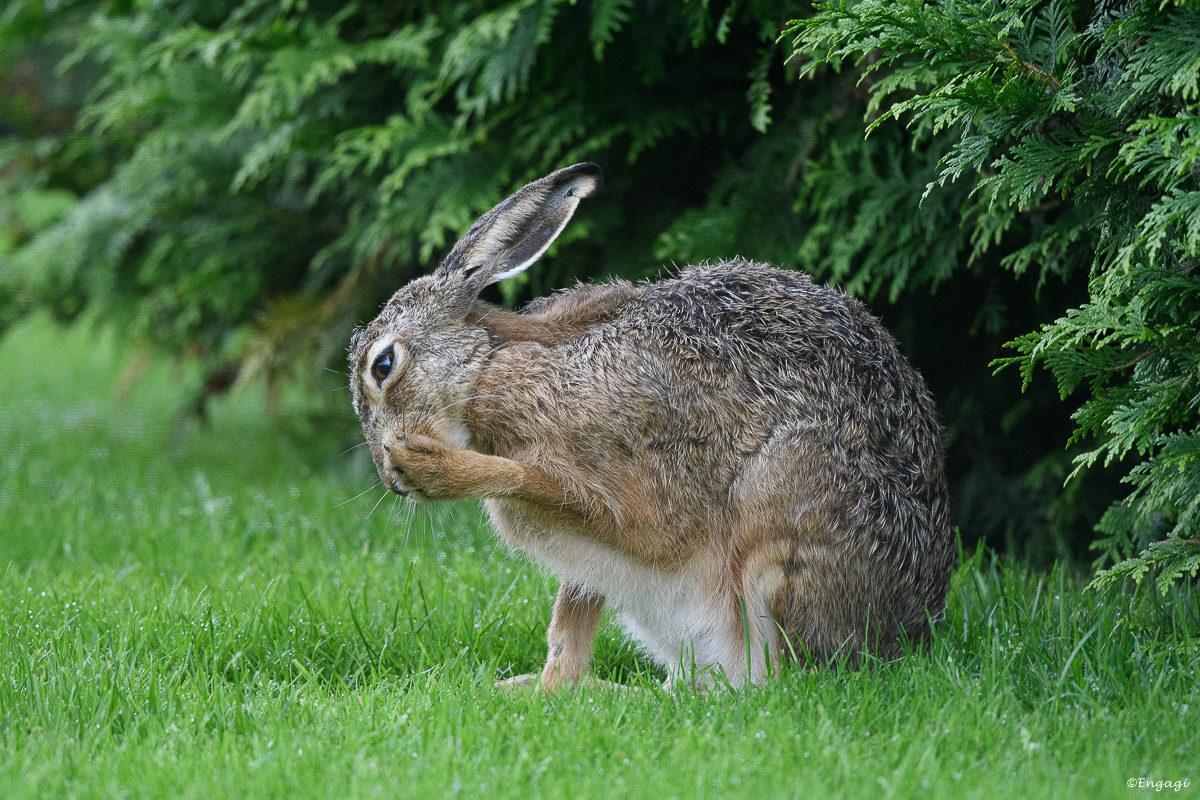 DSC_1668.jpg