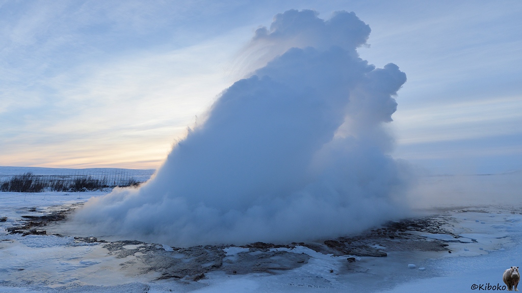 Das Bild zeigt als viertes Bild einer Serie die maximale Höhe vom Geysir bei diesen Ausbruch.