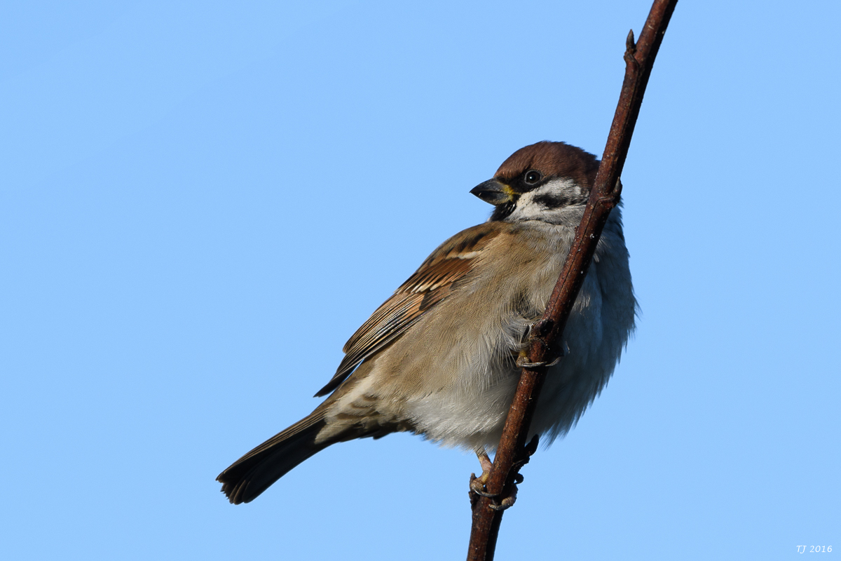 DSC_0114.jpg