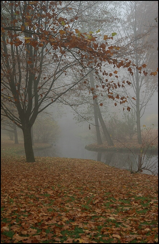 KR_xDSC_2910_3532.jpg