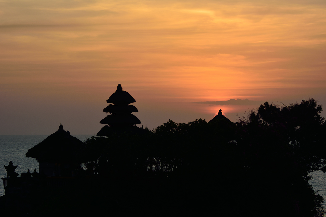 _DSC6495_web.jpg