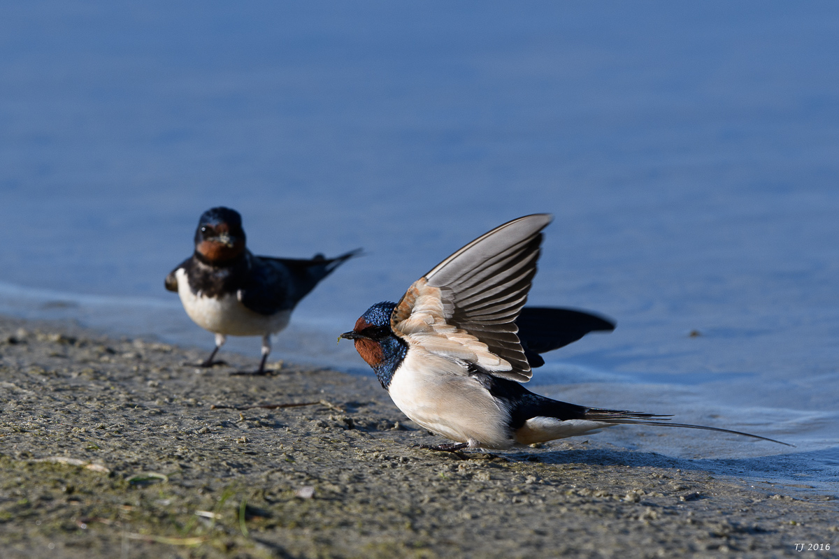 DSC_0401.jpg
