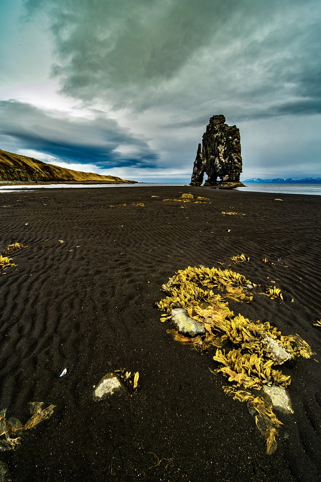 DSC_9642-X2.jpg