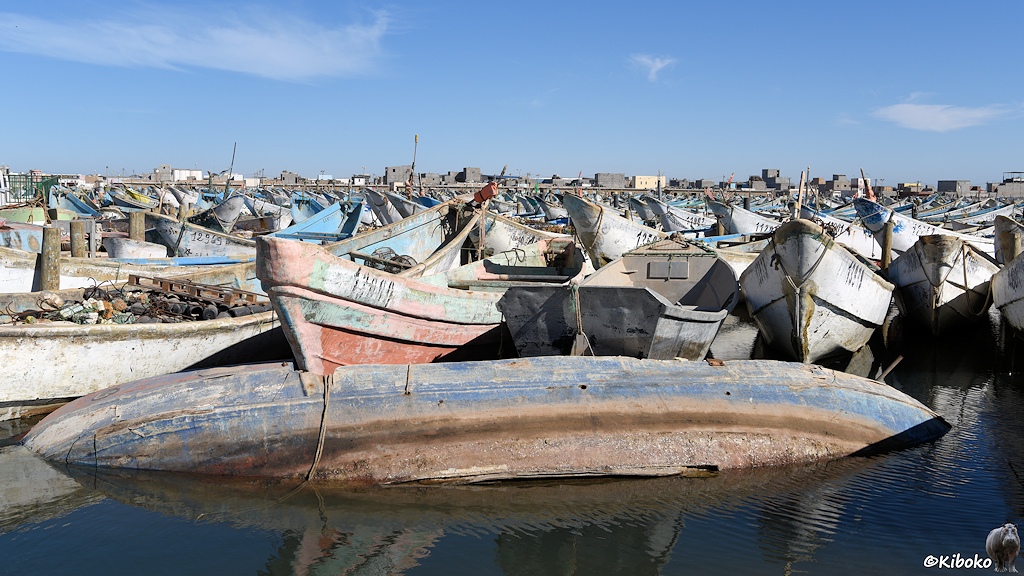 Das Bild zeigt ein gekentertes, kleines, offenes Fischerboot in Seitenlage. Dahinter liegen unzählige, offene Fischerboote im Hafen.