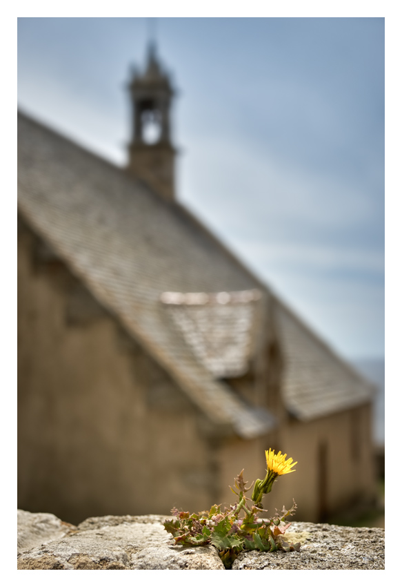 bretagne-08549.jpg