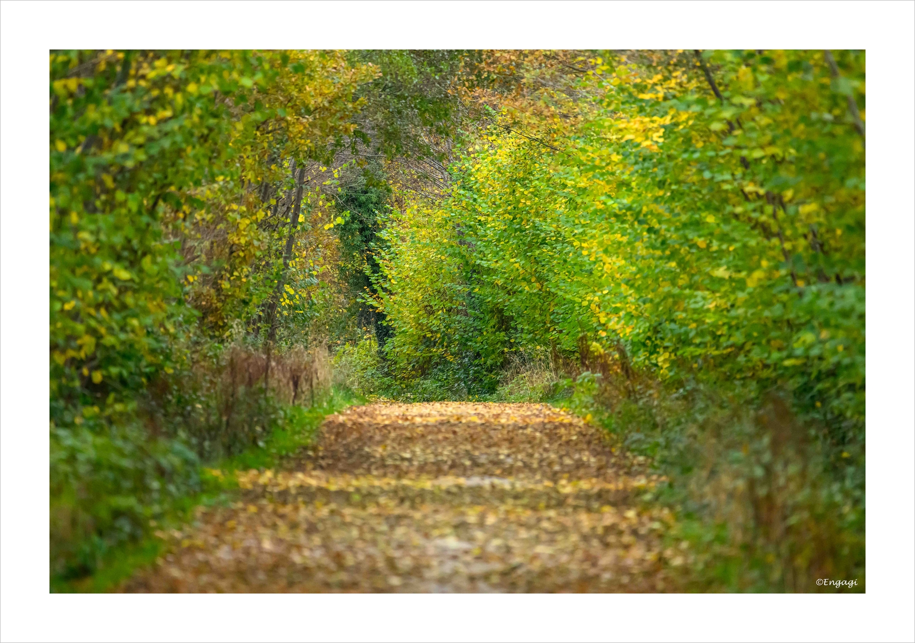 DSC_5600.jpg