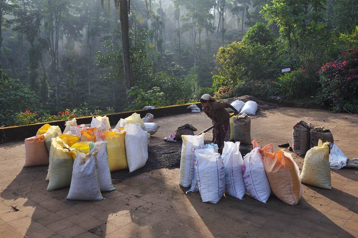 _DSC2589_web.jpg
