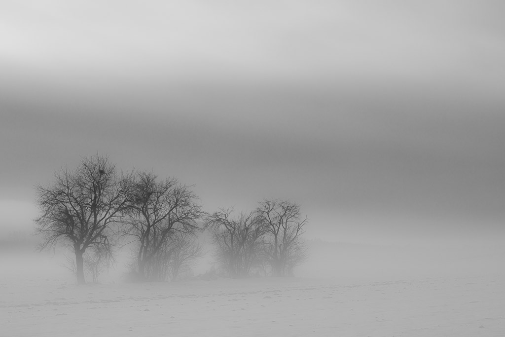 MorningFog_3865_sw.jpg