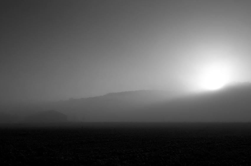 Morgennebel_7140.jpg