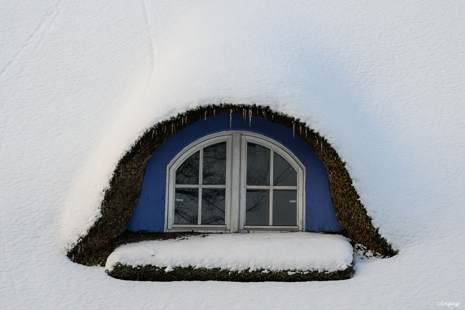 DSC_3912.jpg