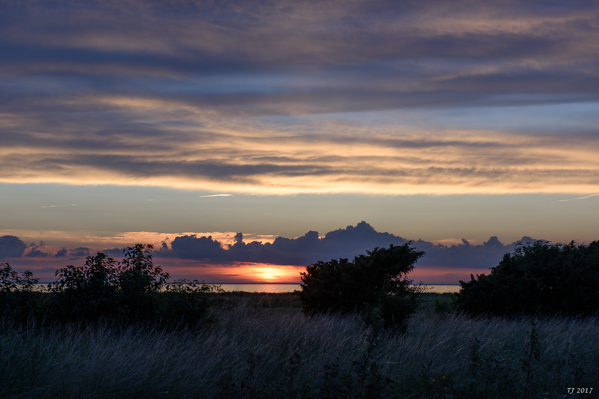 DSC_7715.jpg