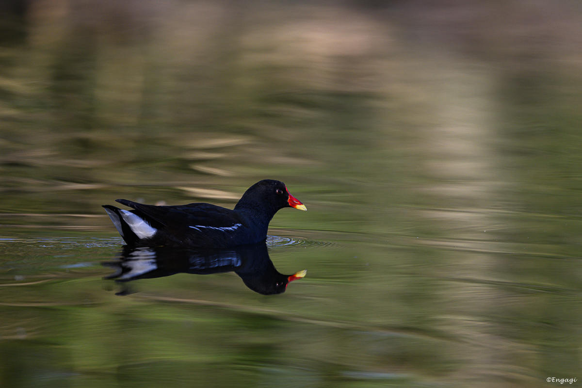 DSC_1759.jpg
