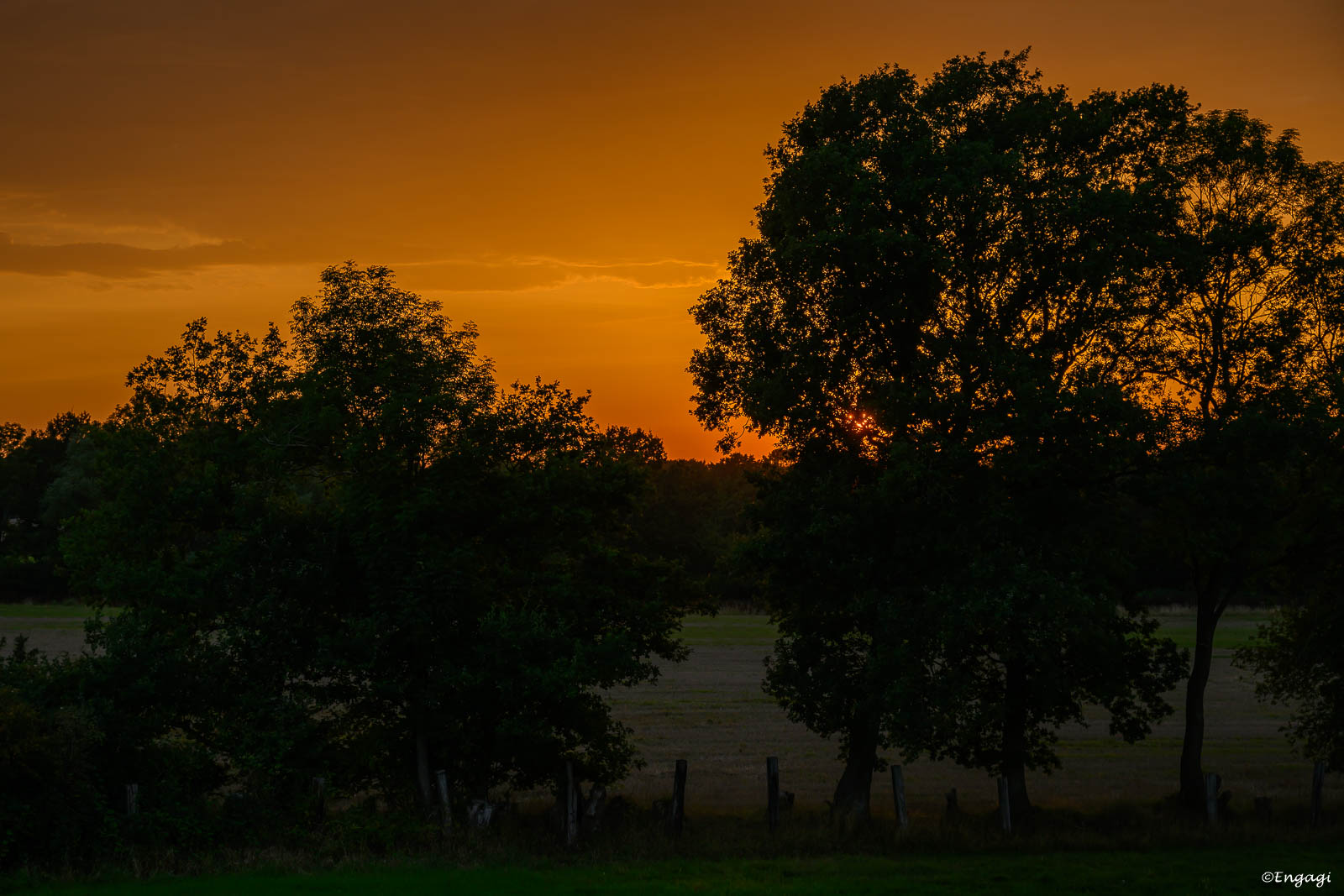 DSC_8819.jpg