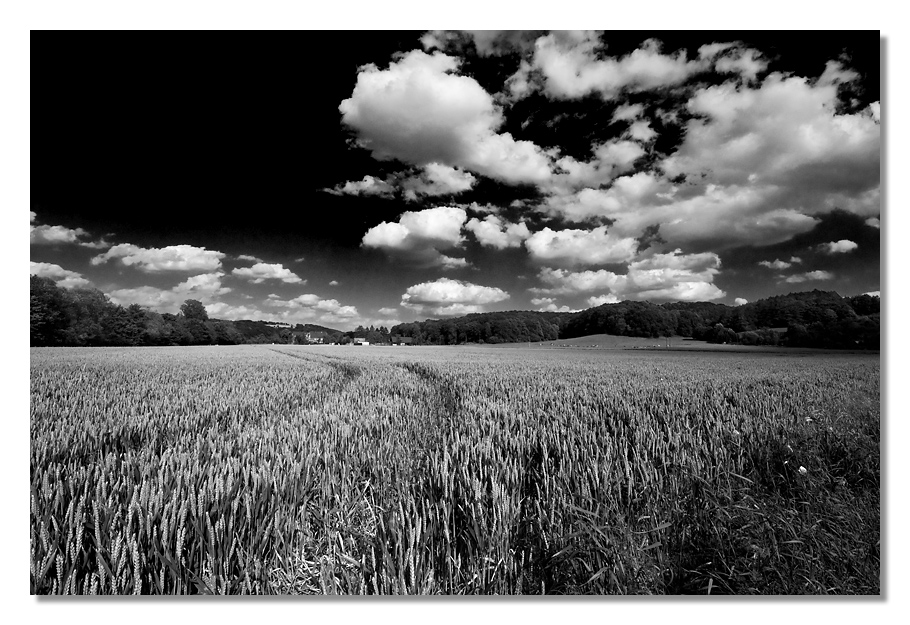 BergischesLand_6843.jpg