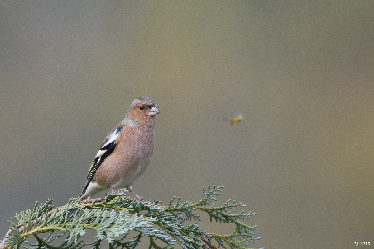 DSC_5716.jpg