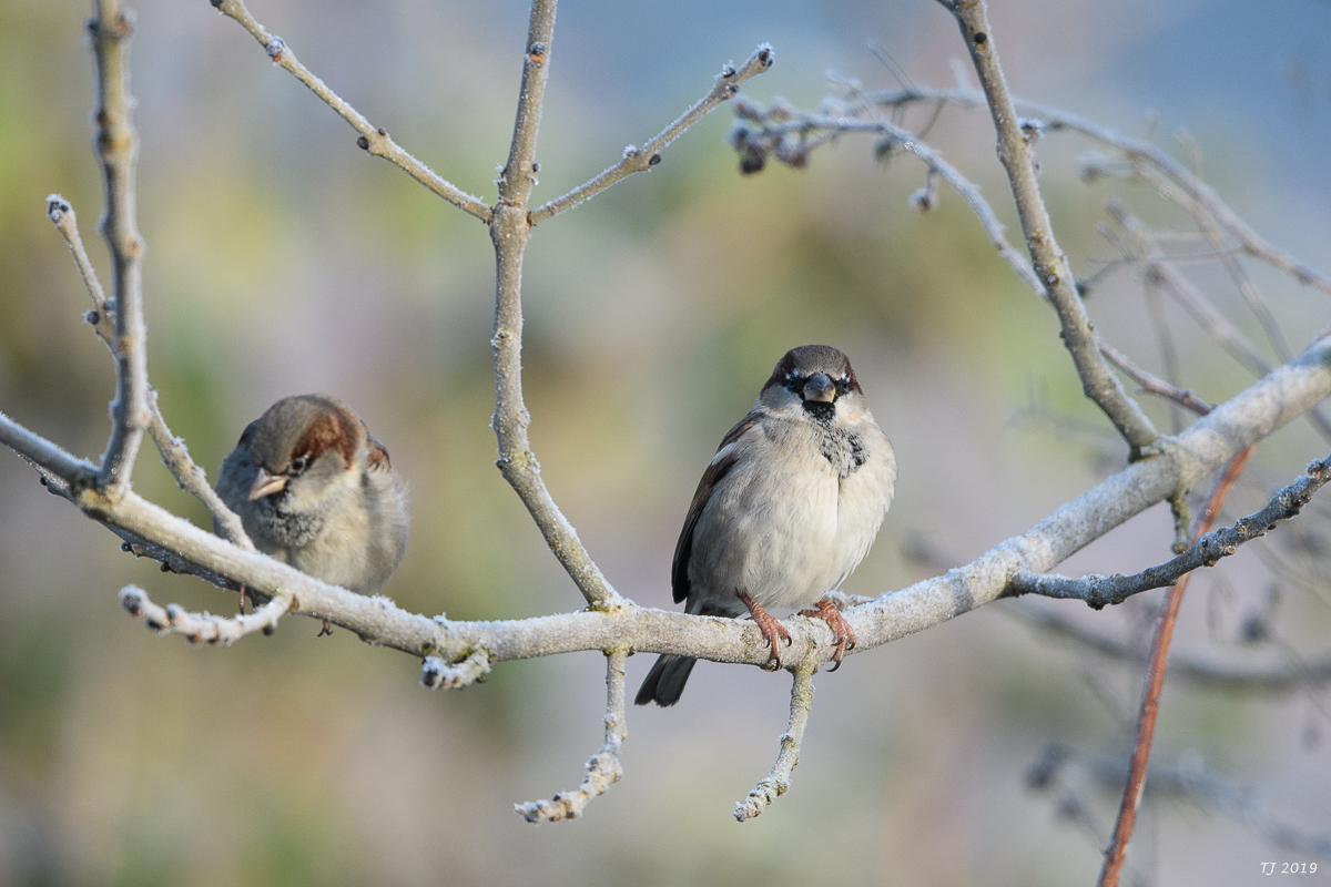 DSC_7094.jpg