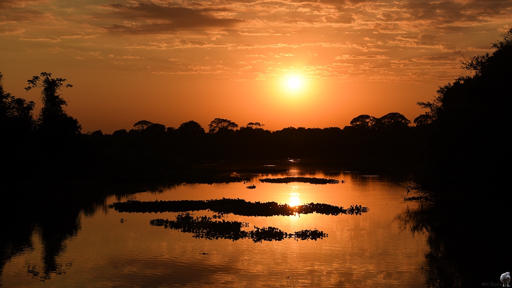 Sonnenaufgang über dem rio Claro. Himmel und Spiegelung im Fluss sind orange.