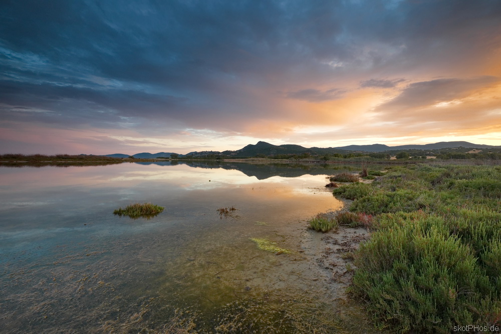 skotPHos.de_Sardinien2015_024.JPG