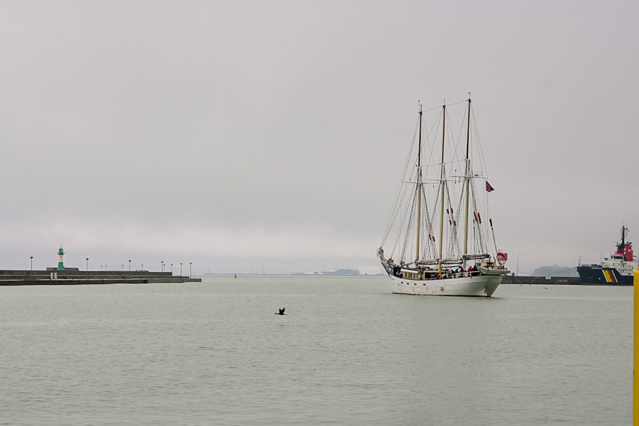20231025-103957-nf.jpg