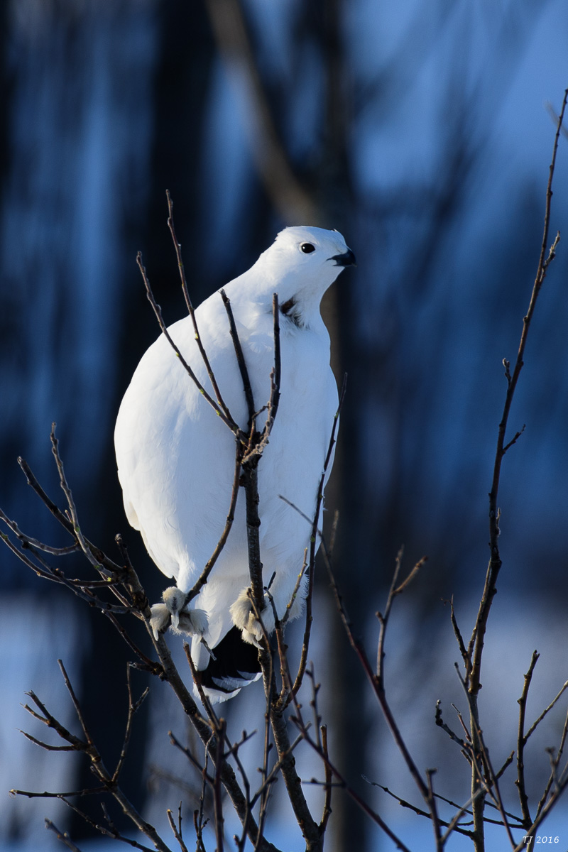 DSC_2810.JPG