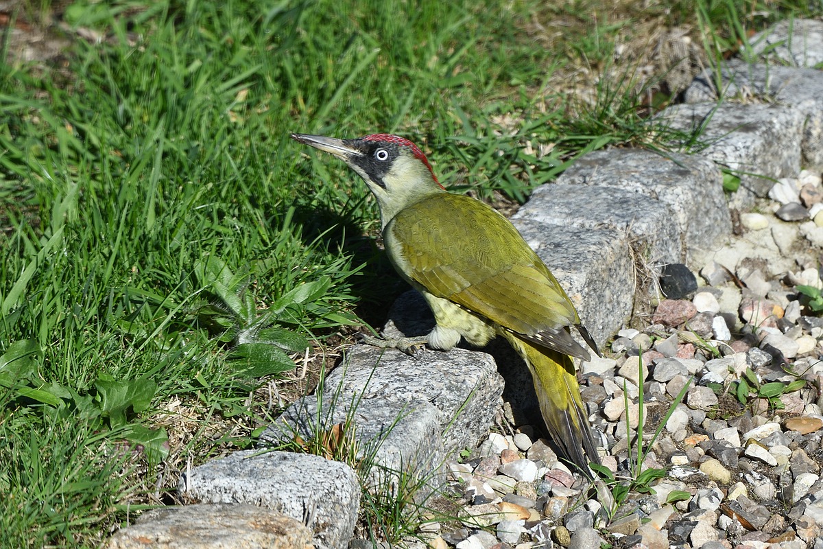 TJ_comp_DSC_0776.jpg