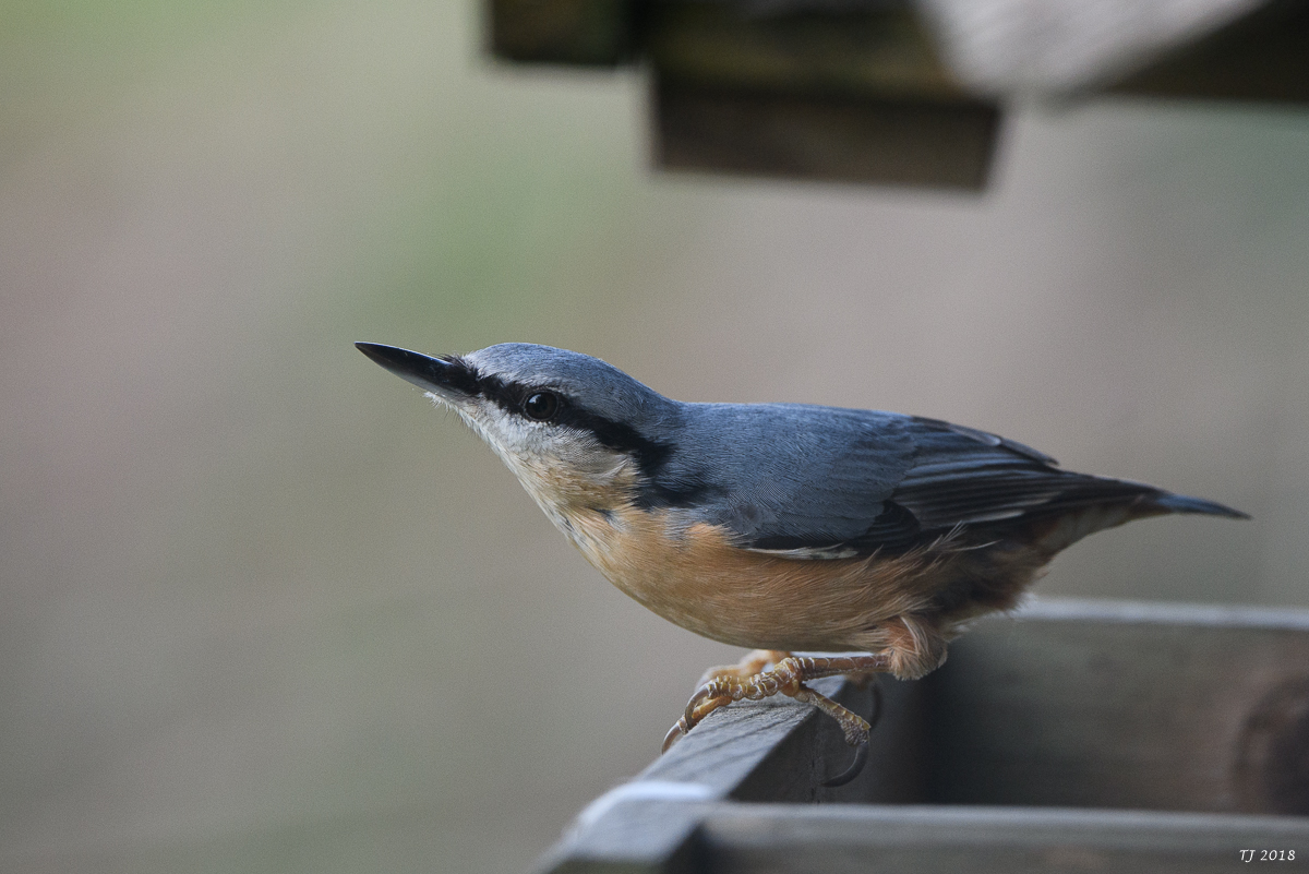 DSC_0880.jpg