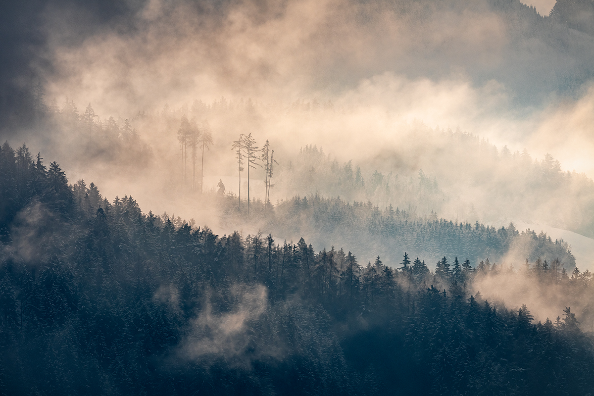 20201207_D500_0596NF.jpg
