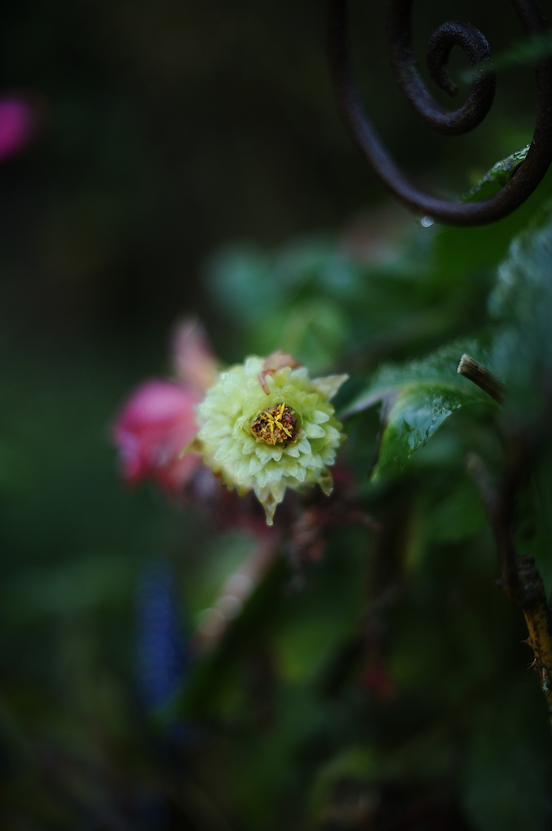 cK.R.-540DSC_5479.jpg