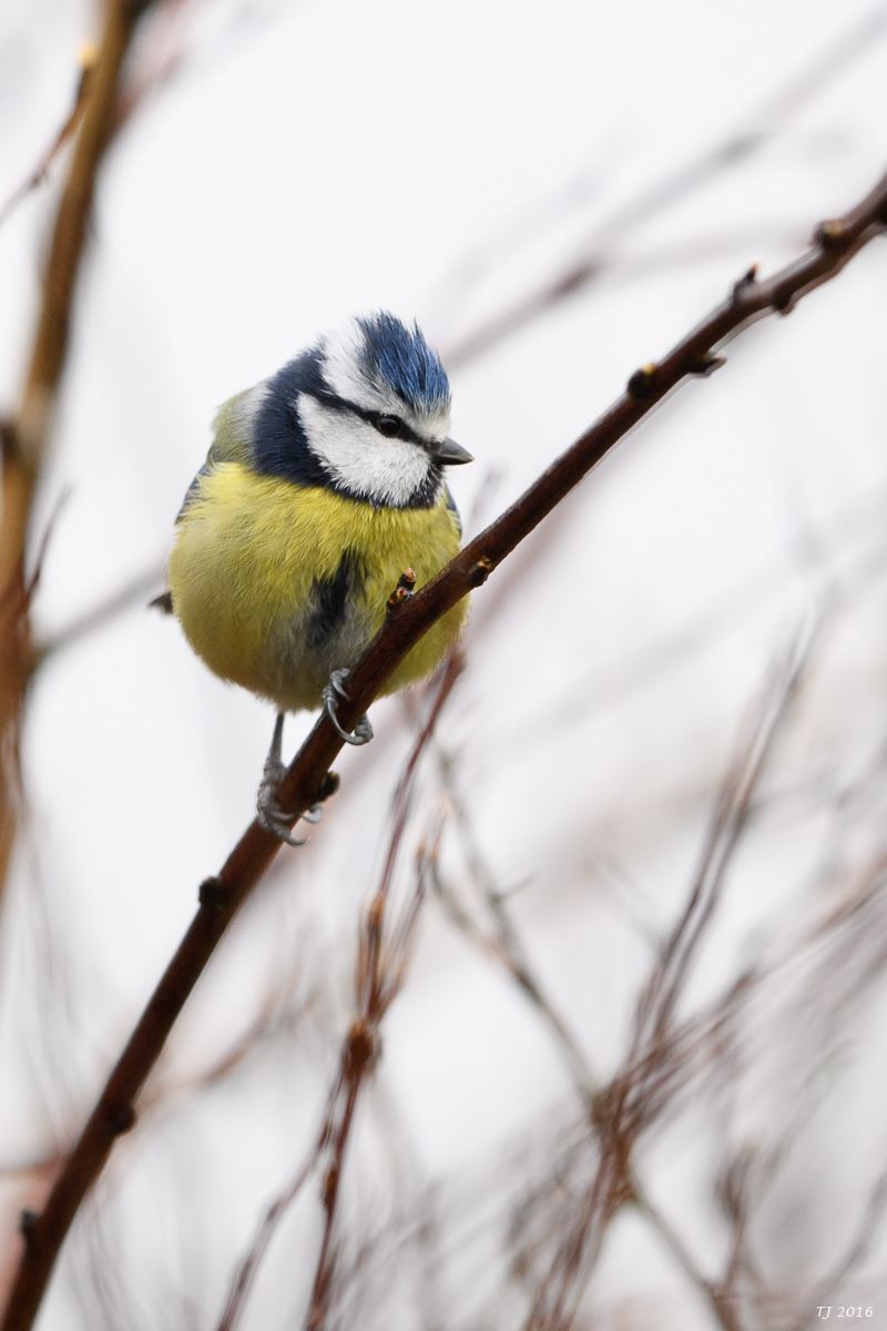 DSC_0024.jpg
