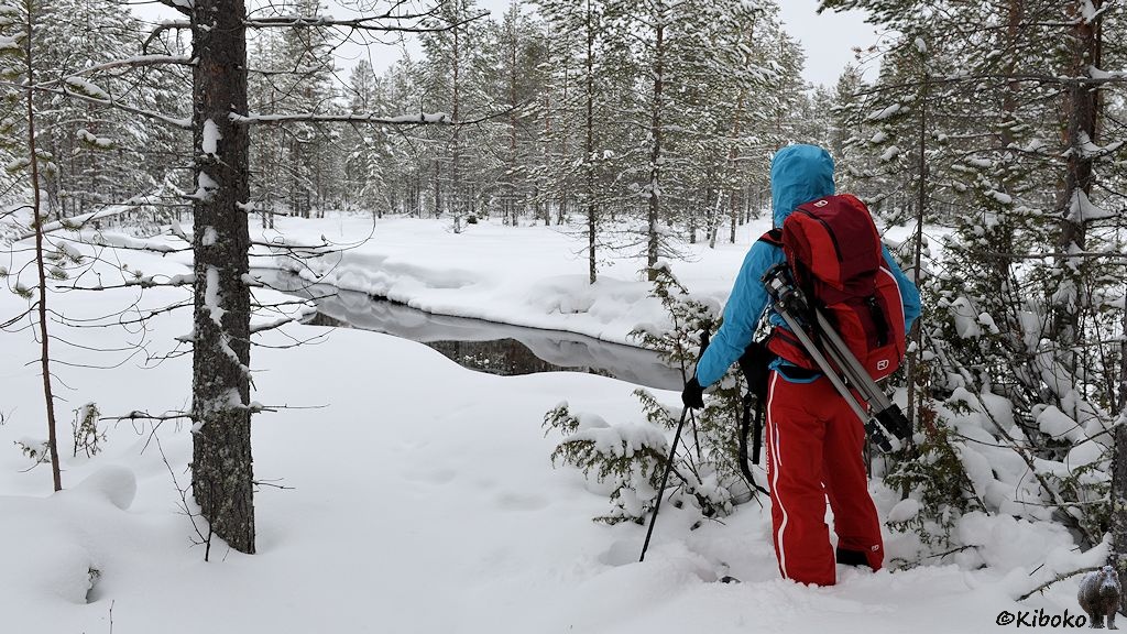 Das Bild zeigt am rechten Bildrand eine Frau mit hellblauer Jacke, roter Hose, roten Fotorucksack und Stativ von hinten. Sie schaut auf einem schmalen Fluss in einer Schneelandschaft im Nadelwald.